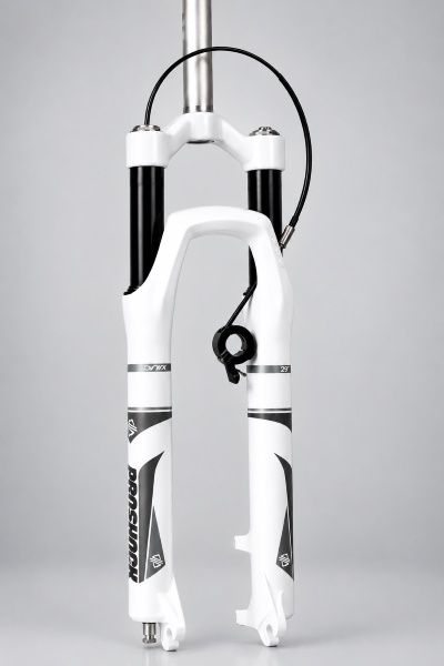 GARFO PROSH. SUSP. 29 ONIX 32 100 TAP TV....